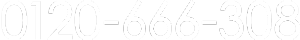 0120-666-308
